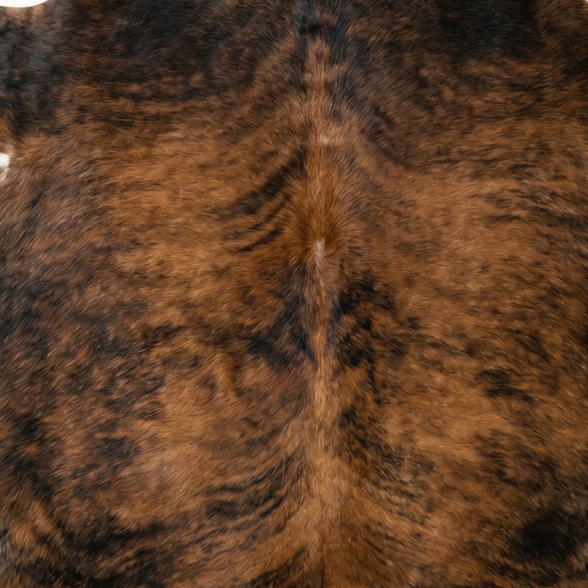 Brindle Collection
